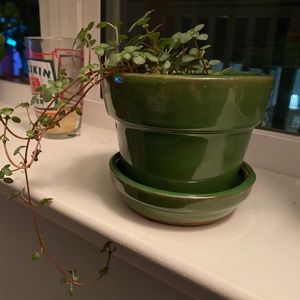 Meet your Posher, Annalisa